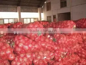 onion container