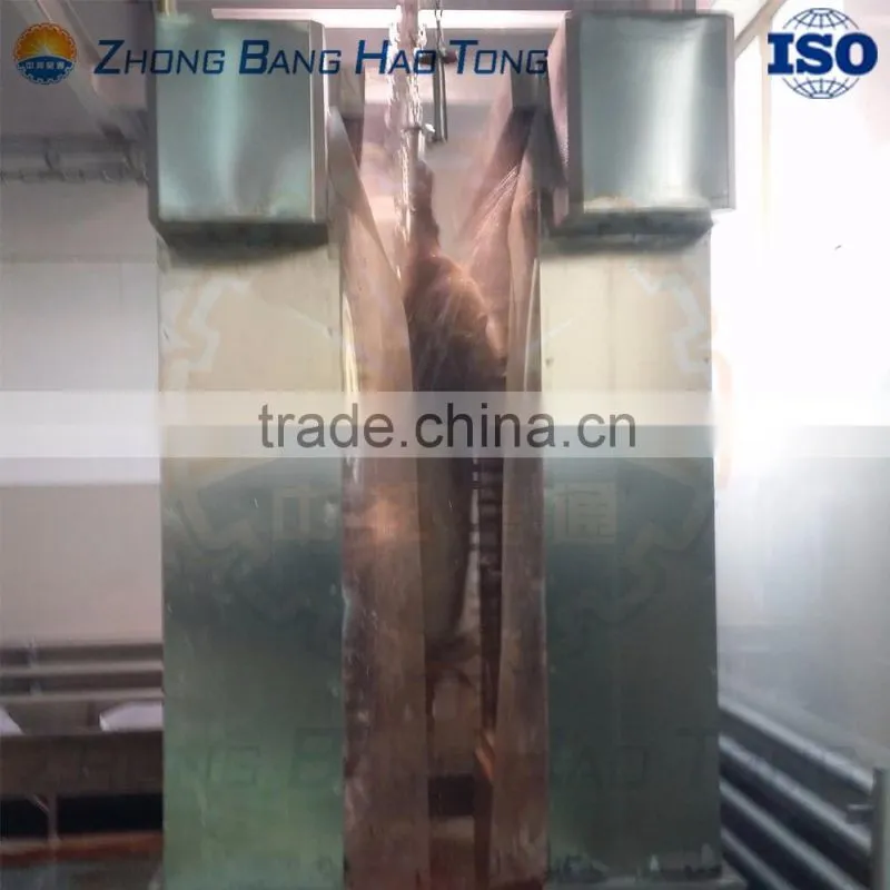 vertical pig washing machine with overhead conveying chains for pig slaughterhouse