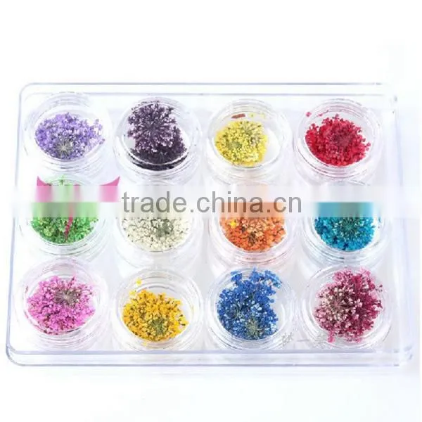 wholesale Nail Art Dry Dried Flowers Decoration With Mix Different Colors