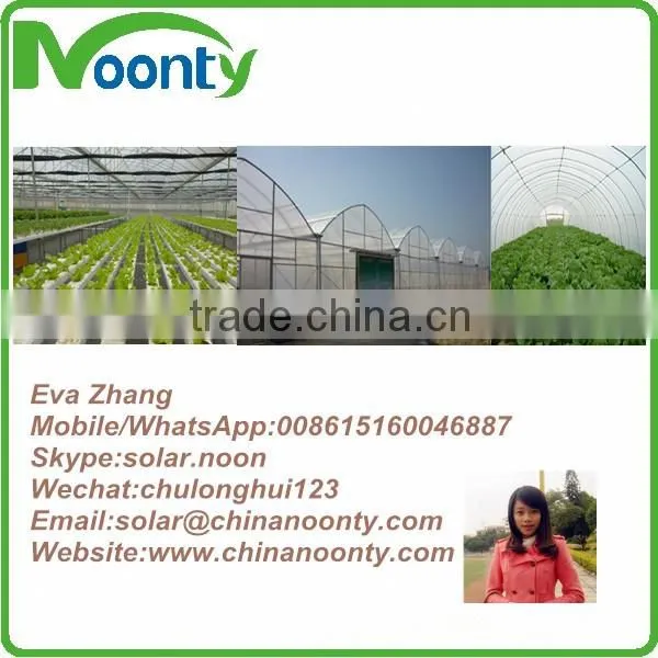 Economical Tunnel Greenhouse