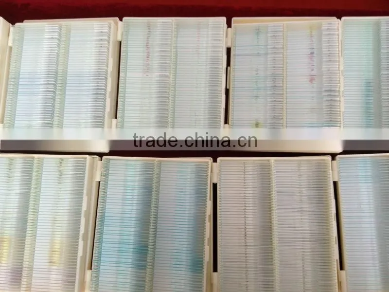 Microscope Slides Set Beginners slides set