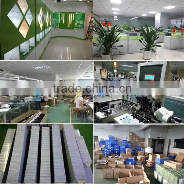 60ic/m 60leds/m digital waterproof flexible silicon glue led strip