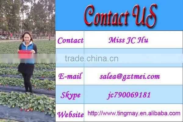 Professional cryo sauna fat freezing machine home device buy chinese products online TM-908