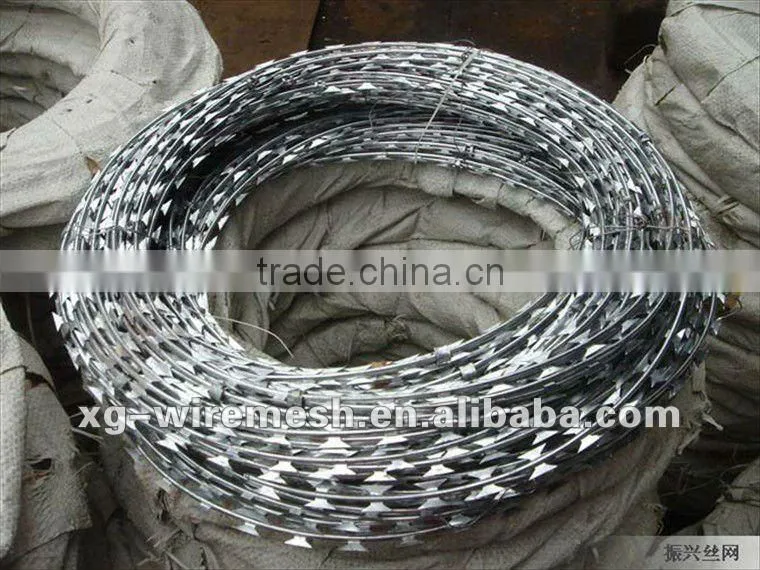 bared razor wire(high quality low price)