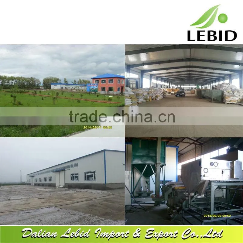 New Crop Large White Kidney Beans/Bean food
