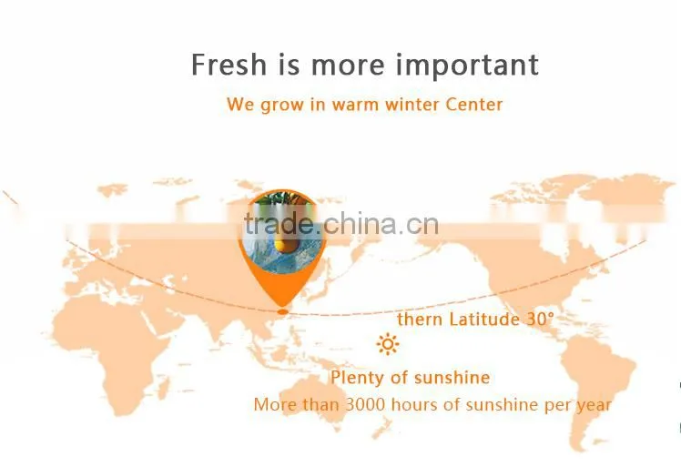 Purely Natural Wholesale Distributors Canned Fruit