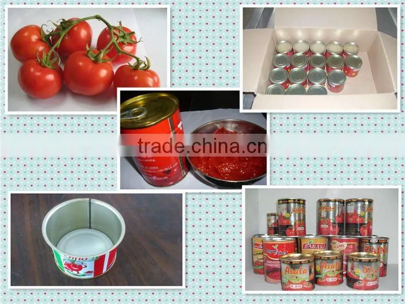 tomato packing boxes,brix 28-30%,canned tomato sauce