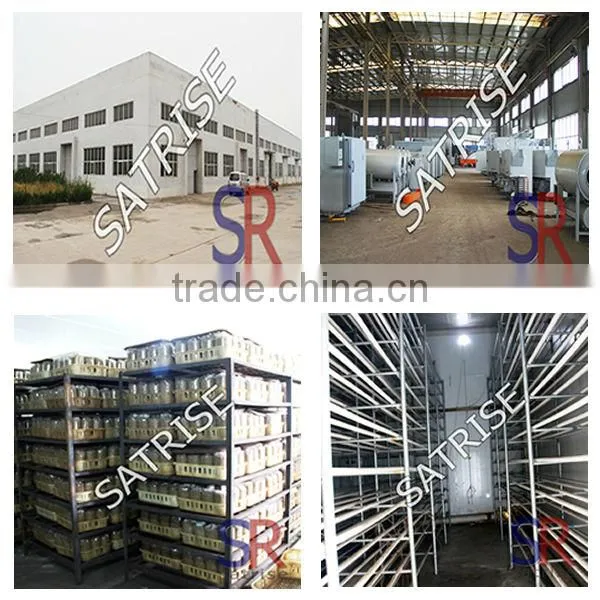 volume food sterilization equipment