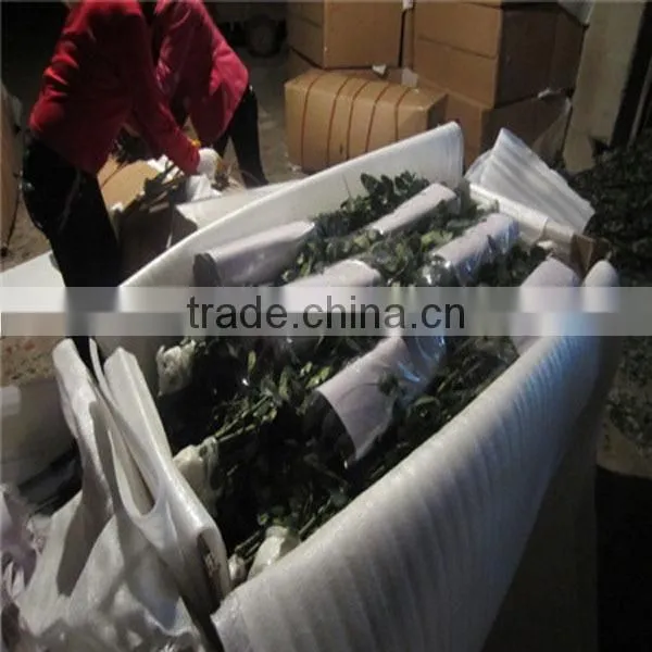 Supply fresh cut flower rose from flower base in Kingming