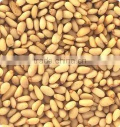 Jiexun Intelligent Nut CCD Color Sorter