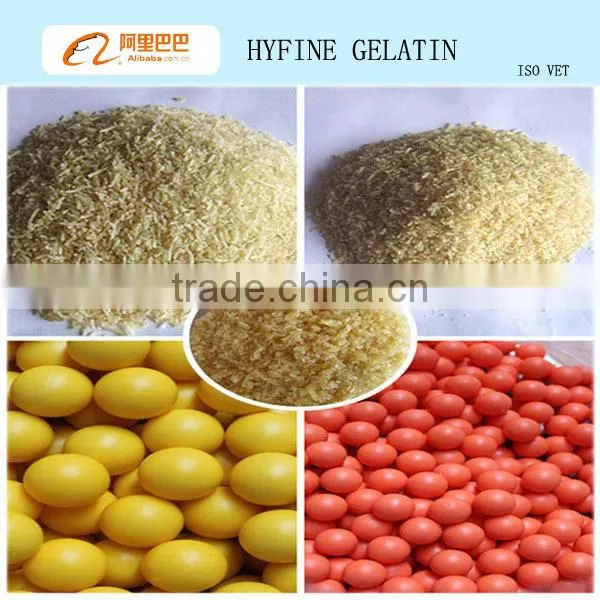 bovine skin bone halal gelatin powder for edible n industrial medical gelatin use