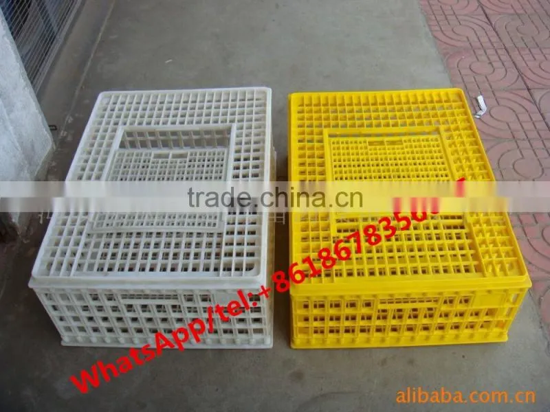 Chicken cage for Live chicken transportation /Transfer Plastic chicken transport basket /Crate