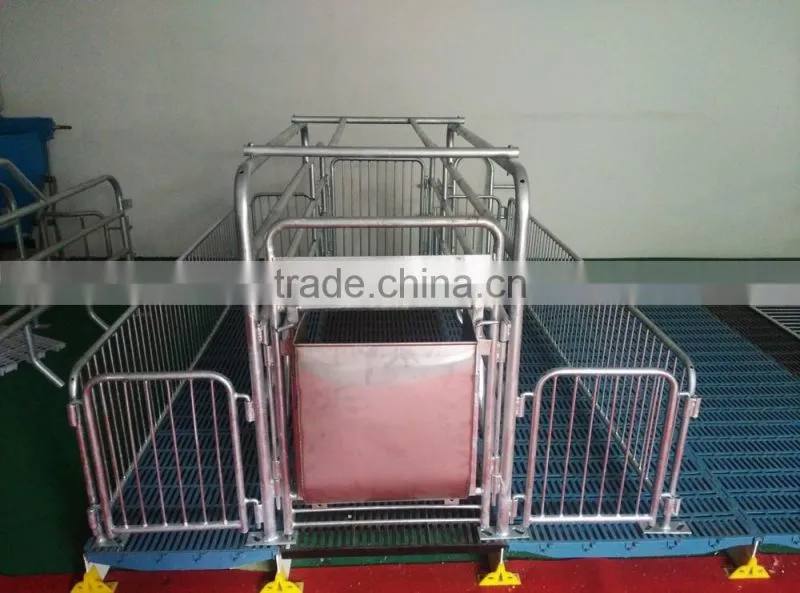 Farrow crate/pig farm farrow crate/pig farm equipmnet/pig farm stall/farrow crate house