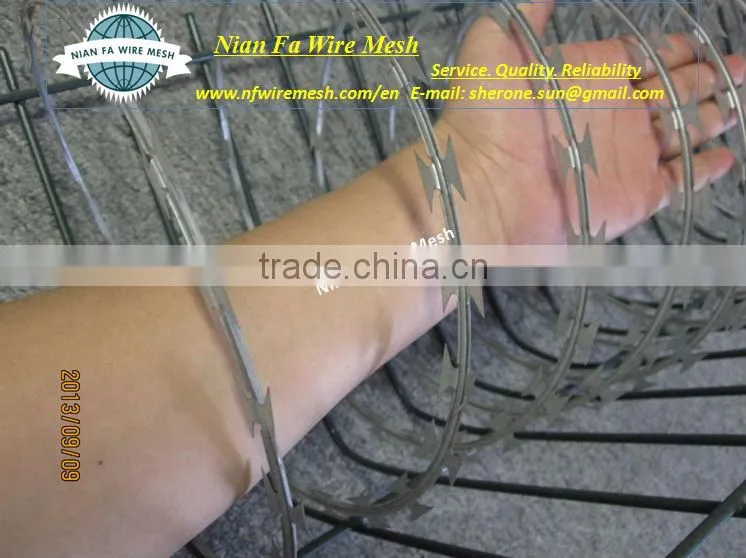 Stainless Steel Razor Barbed Wire Manufacturing (Factory) Guangzhou