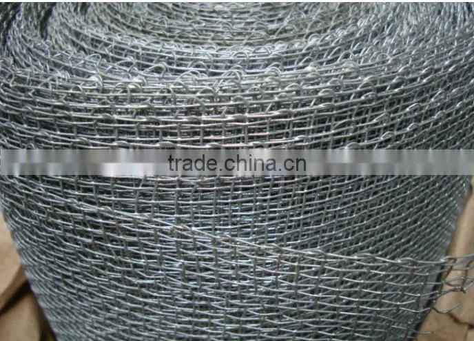 Galvanized Square Metal Mesh/2x2 to 60x60 wire mesh/electro galvanzied square mesh