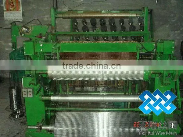 50x50mm opening galvanized Welded Wire Mesh
