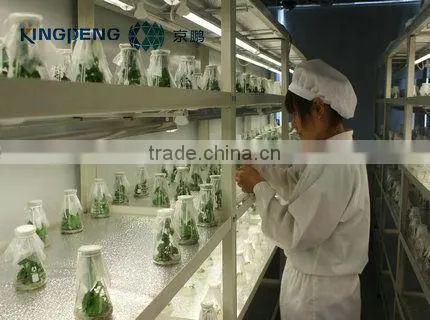 Professional Quarantine Glass Greenhouse