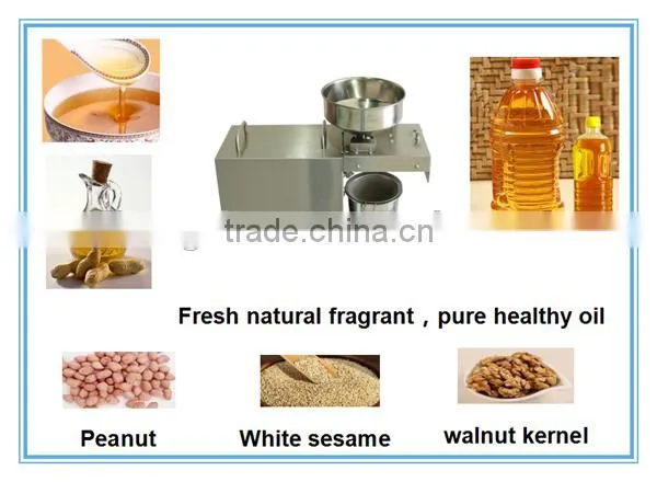 LKZ001 Home use oil press machine cold press oil extraction machine in Pakistan