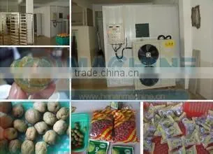 Hot Selling New Functional Banana Chips Dryer Machine| Kiwi Fruit Slices Dryer Machine|Raisin Drying Machine