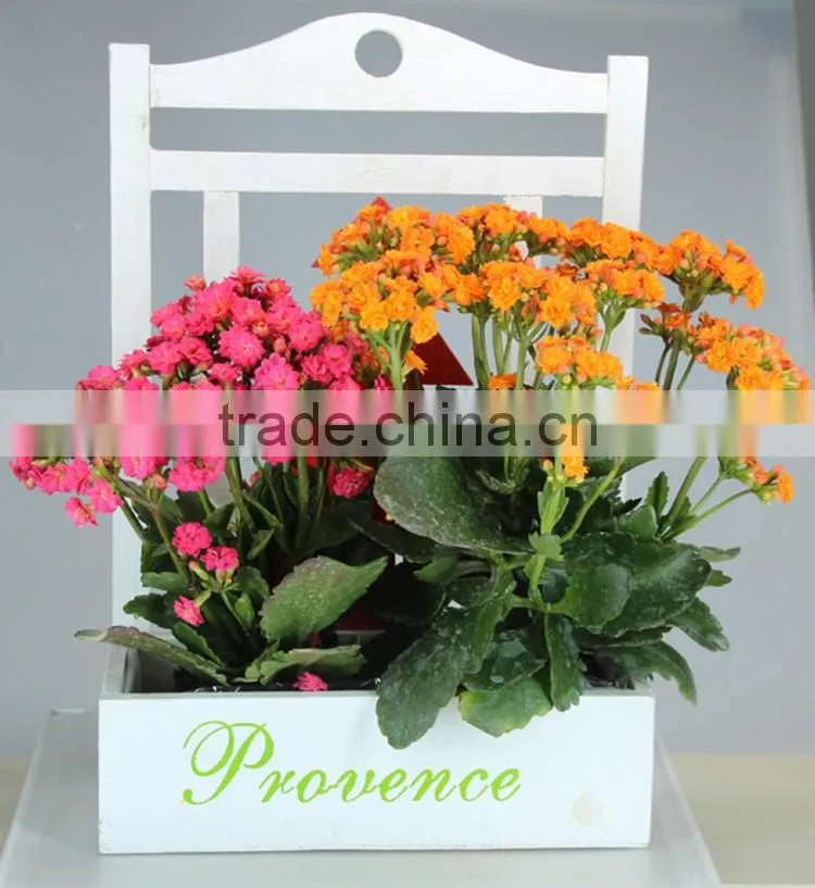 White wooden pots garden and succulent plant pot