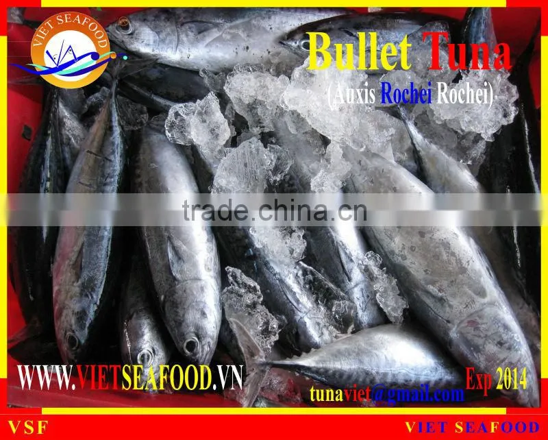 FROZEN W/R BULLET TUNA