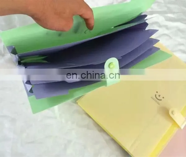 Letter size 12 Pocket PP Expandable file folders
