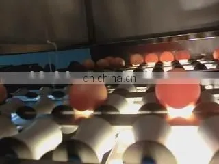 Factory Professional Selling Full-function Hen egg/Duck egg/Salted duck egg washing machine