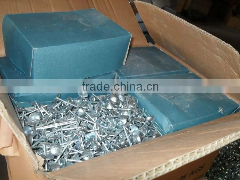 umbrella roofing nail with smooth shank
