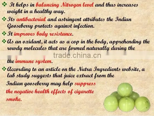 Organic & Purest Amla powder Bulk Producers