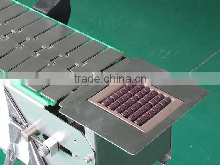 Multifunctional stainless steel chains conveyor
