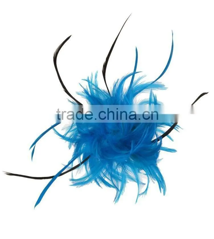 Fancy Feather Hair Fascinator/Clip/Barrettes