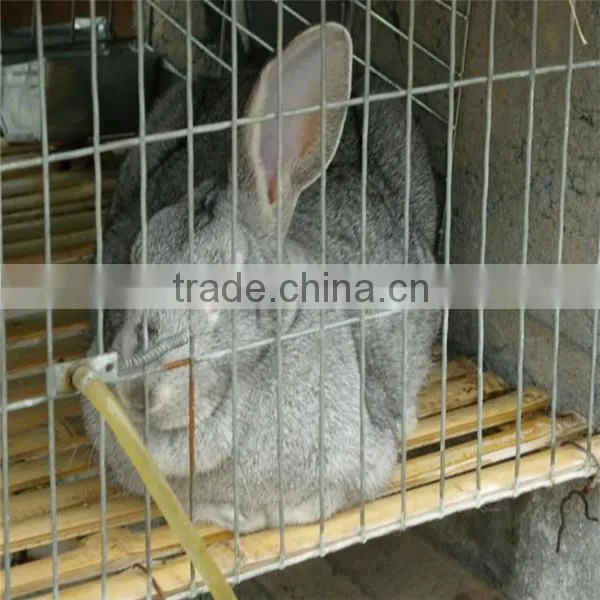 galvanized or pvc coated high quality large rabbit hutch for sale
