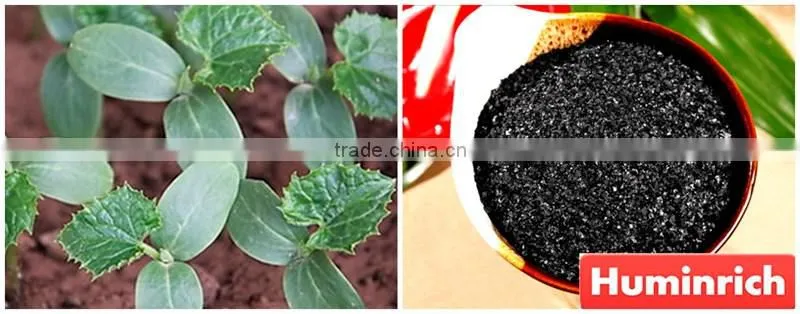 FAQ 2--Potassium Humate Fulvic Acid Fertilizer For Cucumber