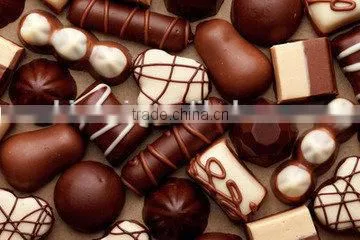 CM275 multi-fuction chocolate moulding line