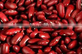 2015 new crop red kidney beans shandong