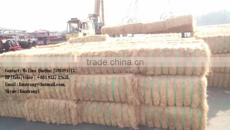 Coconut Fiber (QQ : 2598494113)