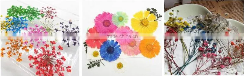 2016 New Arrival Nice Accessories Fashion Jewelry Real Dried Flower Jewelry Necklace