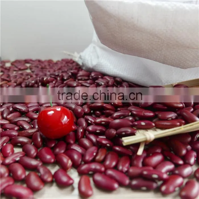 dark red kidney bean
