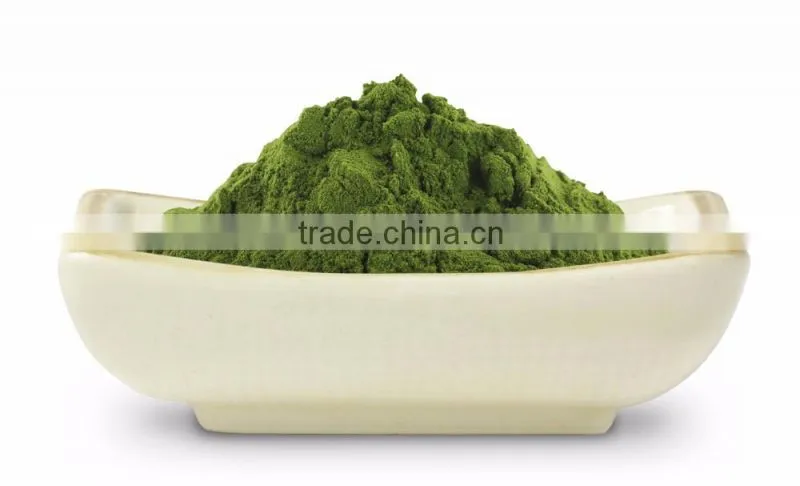 MORINGA SEEDS FOR MORINGA OIL