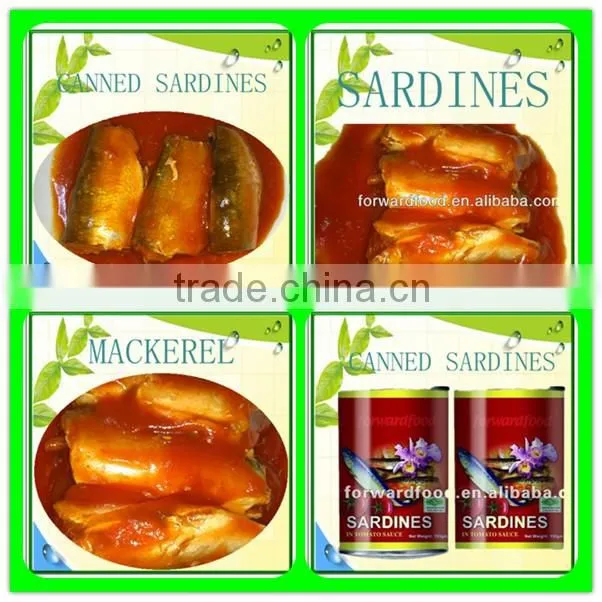 high quality canned whole sardines in vegetable oil,in brine,in tomato sauce