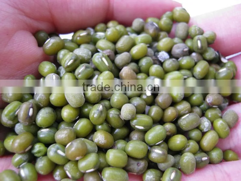 GREEN MUNG BEAN