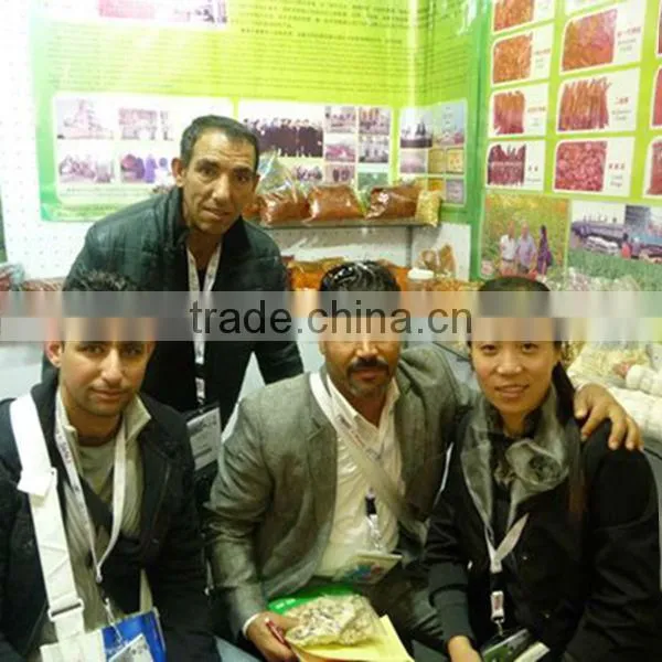 expoer 2013 new crop dried hot yellow approved good flavor of qualitied chinese Sanying pepper powder C spice