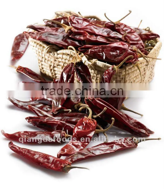 New Design Dry Cleaning Paprika