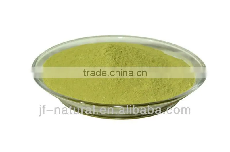 natural Spinach powder vegetable powder ISO, GMP, HACCP, KOSHER, HALAL certificated.