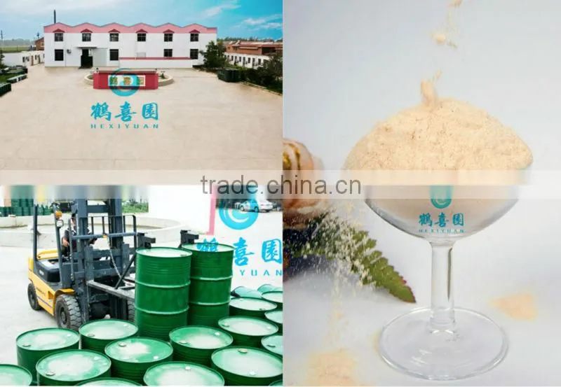 pharmaceutical lecithin