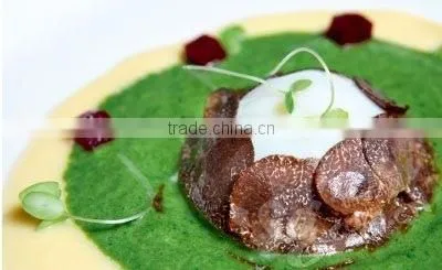 deep frozen black truffle