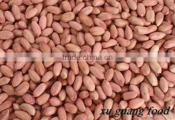 shandong groundnut blanched peanuts