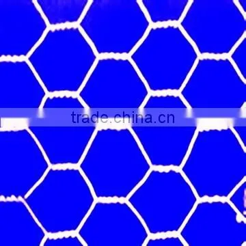 Galvanized and PVC coated chicken net