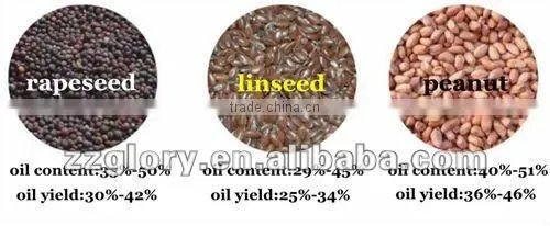 NEW TYPE! Home Oil press machine