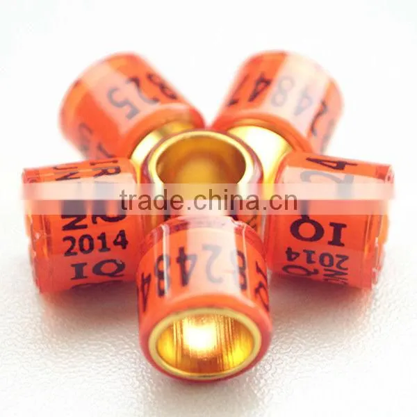 golden-alumium inside coated by transparent red plastic foot rings pigeon
